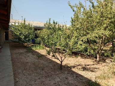 Ташкентская область, Кибрай