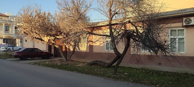 Ташкентская область, Ташкент, Яккасарайский район