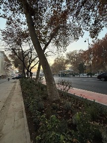 Ташкентская область, Ташкент, Яккасарайский район