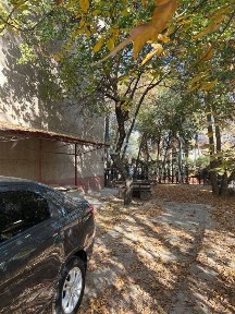 Ташкентская область, Ташкент, Мирзо-Улугбекский район