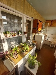 Ташкентская область, Ташкент, Яшнабадский район