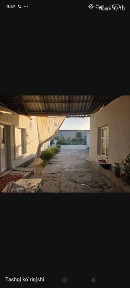 Үй сотилади чинозда 8 сотих 28000$ келишамыз