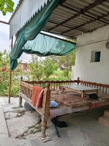 Ташкентская область, Зангиата