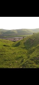 Ташкентская область, Газалкент