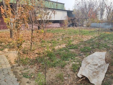 Ташкентская область, Коксарай