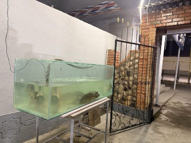 Ташкентская область, Ташкент, Юнусабадский район