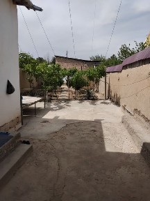 Navoida xovli sotiladi