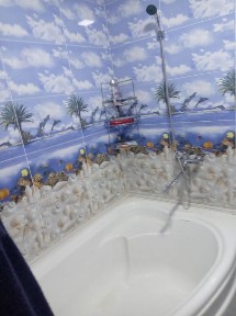 Янги хает. Сиргили