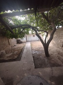 Ташкентская область, Ташкент, Яшнабадский район