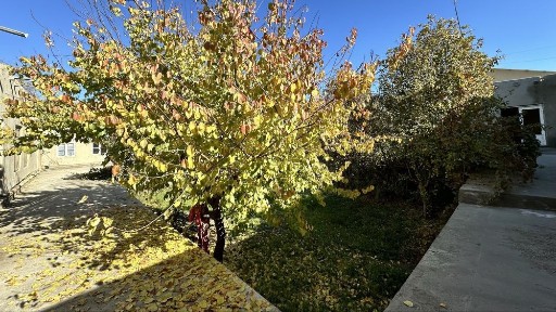 Участок, Ховли, Участка