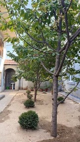 Ташкентская область, Ташкент, Чиланзарский район