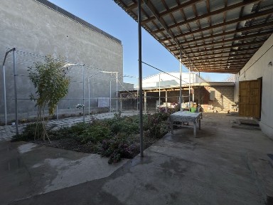 Ташкентская область, Ташкент, Мирзо-Улугбекский район