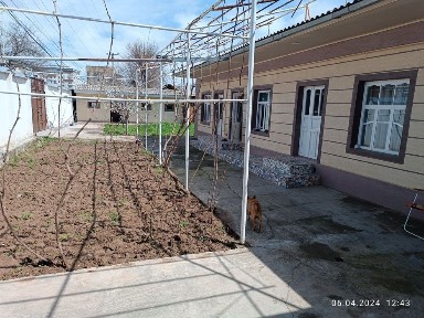 Ту́й-тэпа сентр ИИБ йонида 6 сотих 6 хонаси Уй срочно сотилади