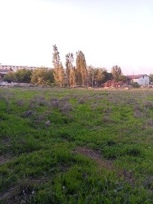 Ташкентская область, Кибрай