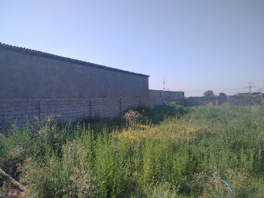 Nazarbek tekistilda yer sotladi