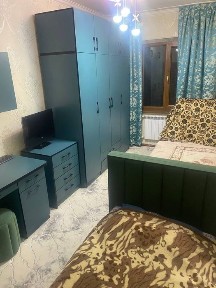 Ибн Сино -2. 4/2/5