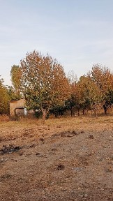 Sotiladigan uchaska bor