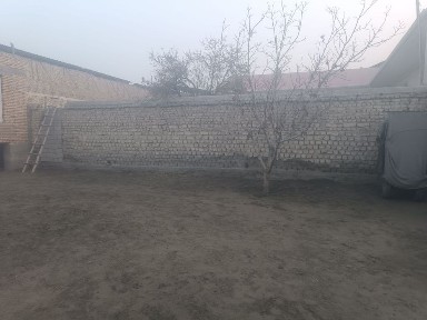 Muqimiy shaxarcha maschit kocha