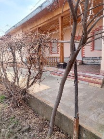 Tayyor kirib yashash uchun hovli