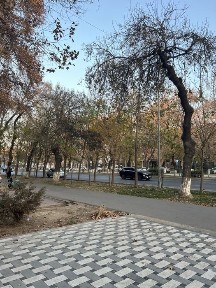 Ташкентская область, Ташкент, Учтепинский район