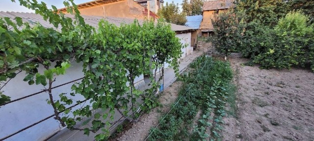 Ташкентская область, Ташкент, Мирзо-Улугбекский район