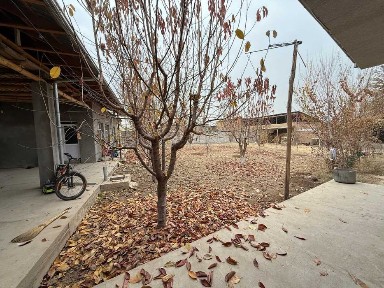 Кок-терак Тоза хаволий жой 8 сотих