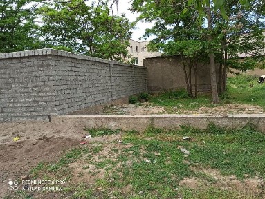 Ташкентская область, Ташкент, Мирабадский район