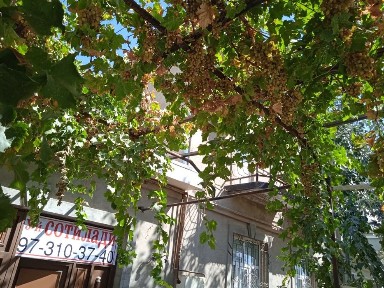 Карши шахарда 2 каватли ховли сотилади