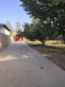 Ташкентская область, Янгиюль