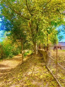 Orta Chirchiq Qorasuv daryosi boyida