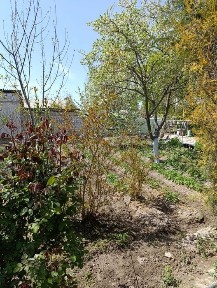 Продаю дом. в старом городе