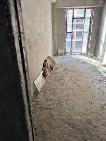 Ташкентская область, Ташкент, Яшнабадский район