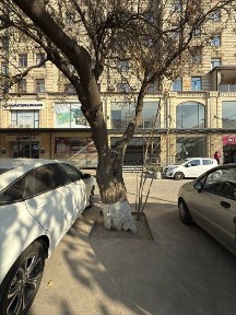 Ташкентская область, Ташкент, Мирзо-Улугбекский район