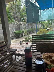 Nazarbekda uchaska tikuv sexi uchun arendaga beriladi