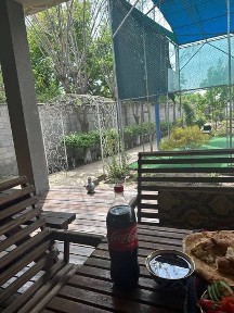 Ташкентская область, Эшангузар