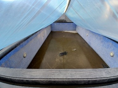 6 sotixli hovli Dahbet, Choynik Piola