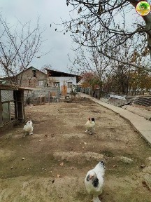 Продаётся Дом Участок Юкори Чирчик-й р-н Балта