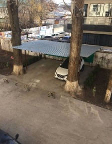 Ташкентская область, Ташкент, Яккасарайский район