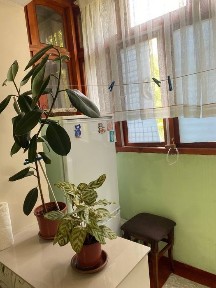 Ташкентская область, Ташкент, Чиланзарский район