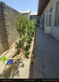 Продам дом 2,5 сотки ул Хонобад, массив Строитель