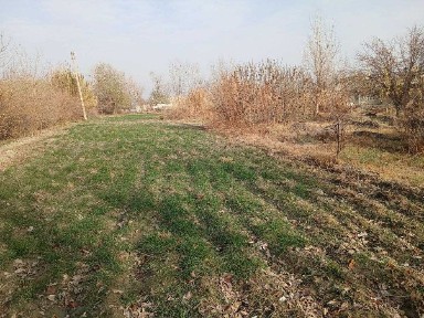 Hovli joy sotiladi Navoiy Karmana