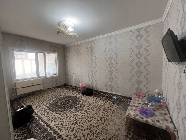 Ijara kvartira studentlarga