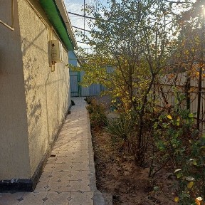 Дача майский поселок звездочка