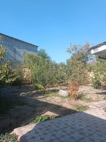 Ташкентская область, Ташкент, Мирабадский район