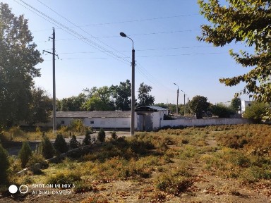 Ташкентская область, Зангиата