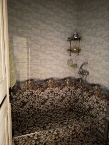 Ташкентская область, Ташкент, Чиланзарский район