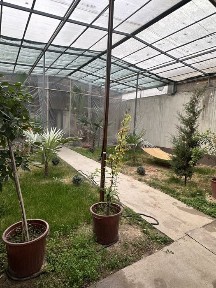 Продаётся участок длина 45м ширина 9м