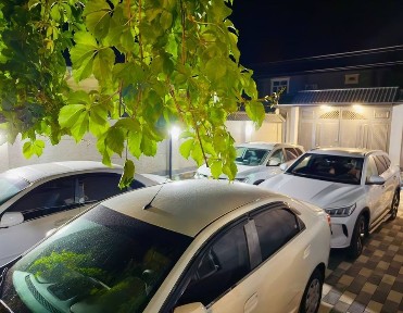 Продается Дача в Бостанлыкском районе.