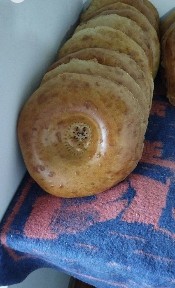 Новойхона АРЕНДАГА берилади