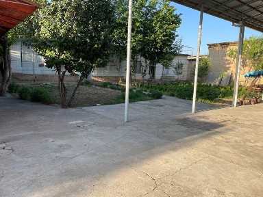 Olmazor tumanida uchaska sotiladi